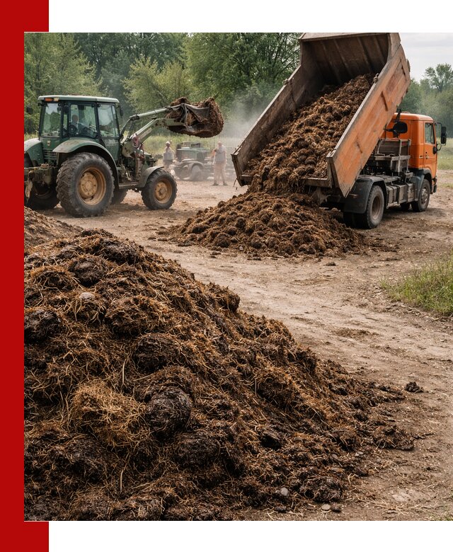 Доставка навоза самосвалами в Лесне для сельхозпотребностей