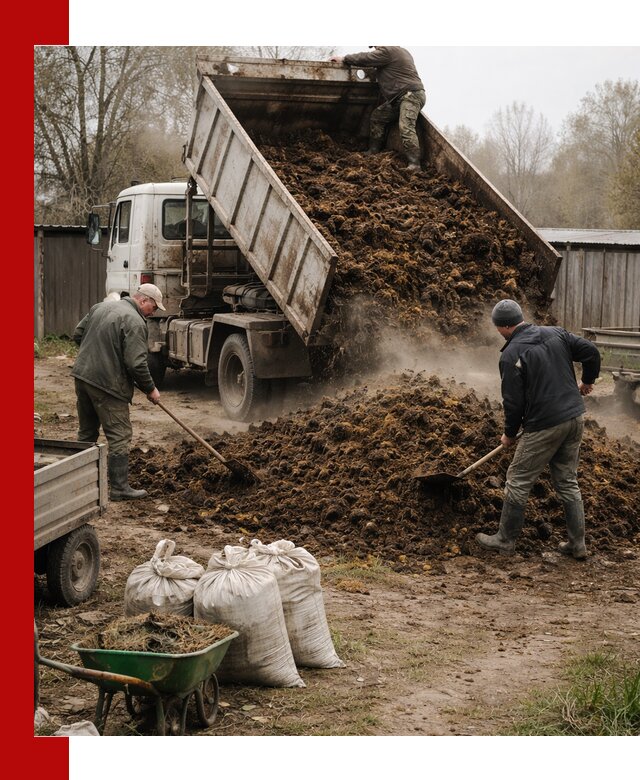 Доставка коровьего навоза самосвалом в Лесне